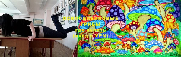 COCAINE Каменск-Шахтинский