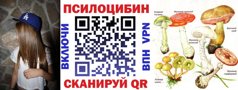 Купить где  Лениногорск  Псилоцибиновые грибы Psilocybine cubensis 