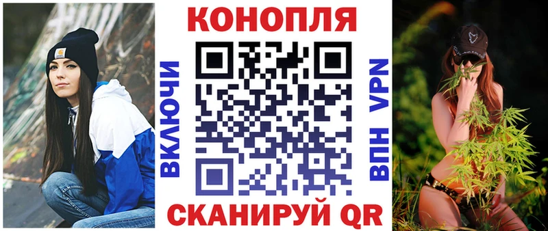 Конопля MAZAR  Купить где  Лениногорск 